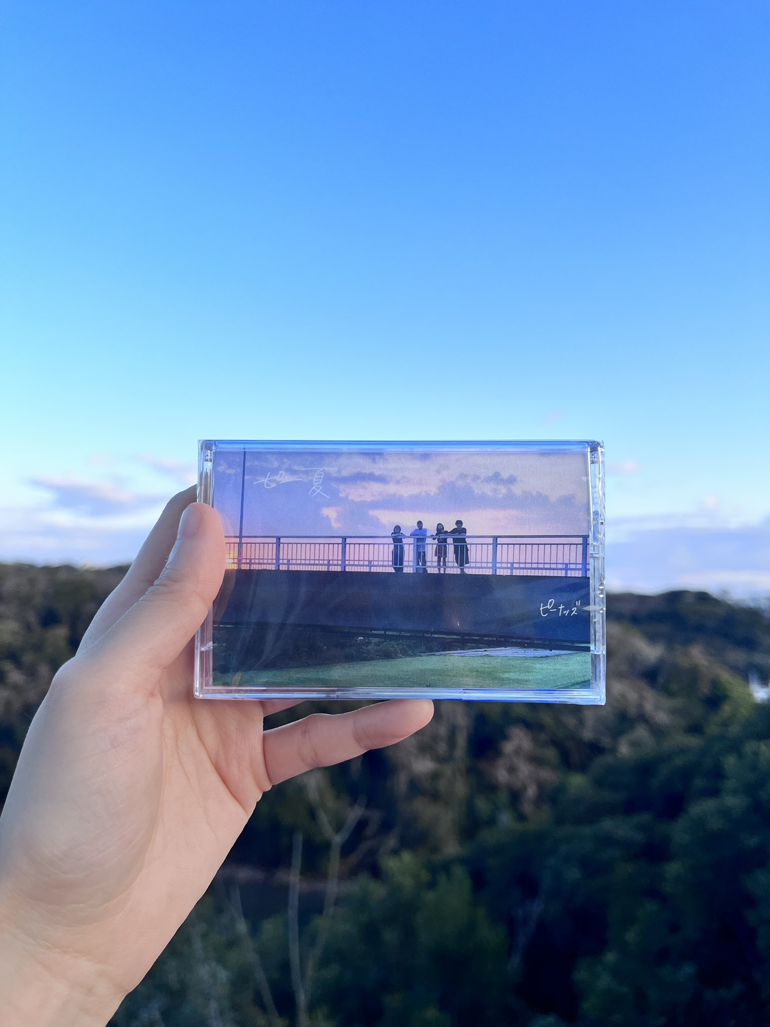 ピー夏 カセット